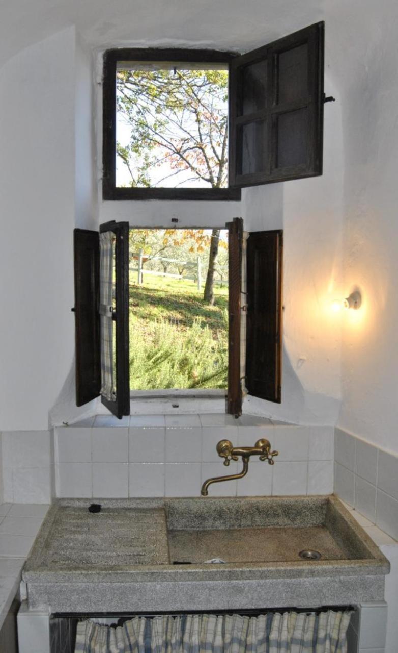Agriturismo Il Giardino Pontassieve Dış mekan fotoğraf