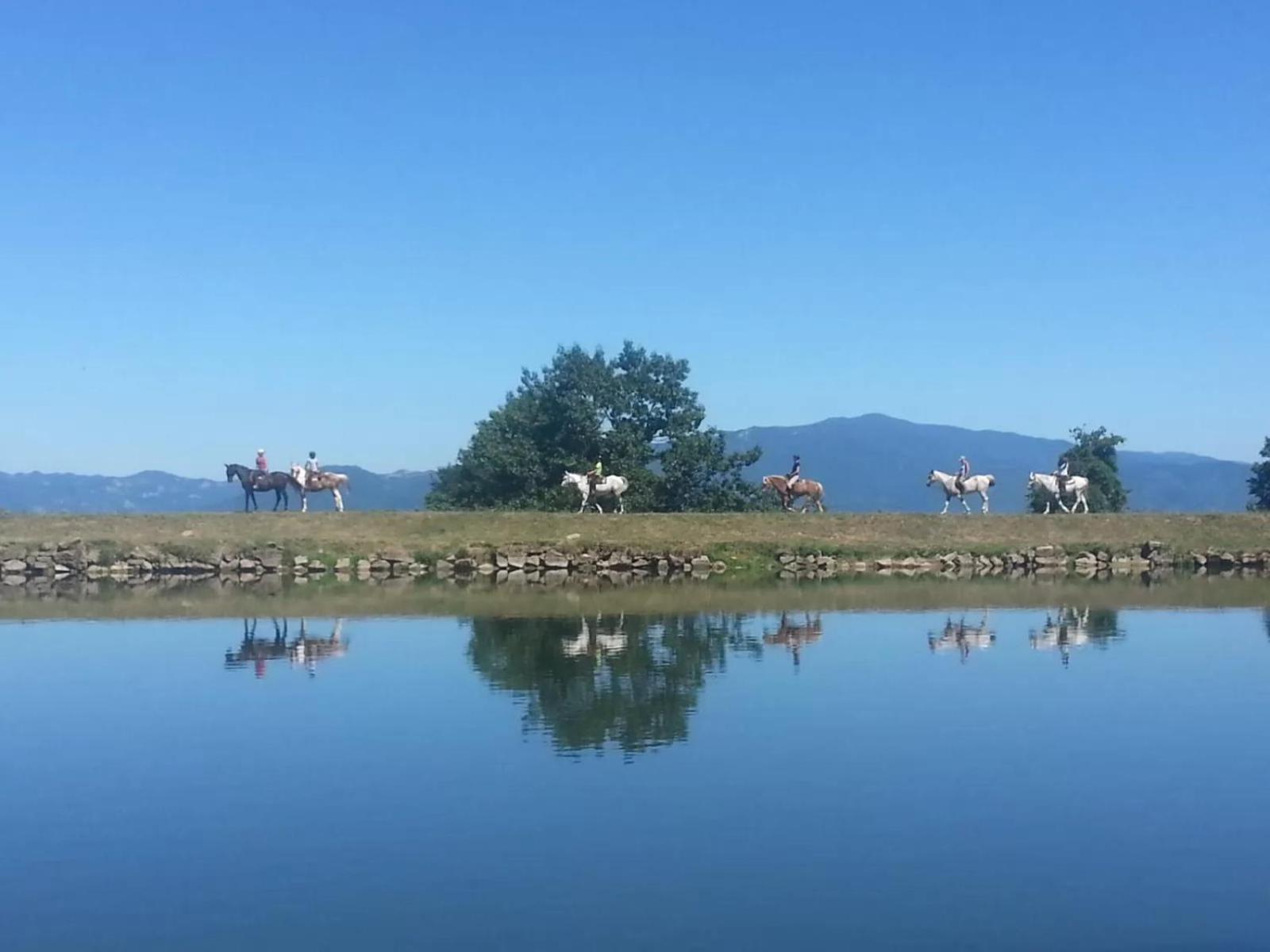 Agriturismo Il Giardino Pontassieve Dış mekan fotoğraf