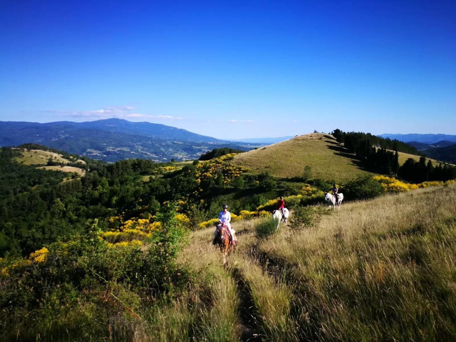 Agriturismo Il Giardino Pontassieve Dış mekan fotoğraf