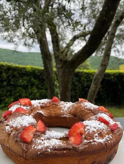 Agriturismo Il Giardino Pontassieve Dış mekan fotoğraf