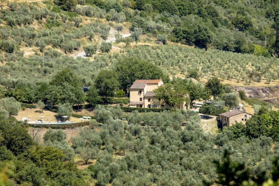 Agriturismo Il Giardino Pontassieve Dış mekan fotoğraf